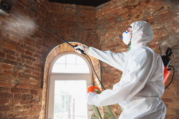 Best Industrial Mold Remediation  in USA